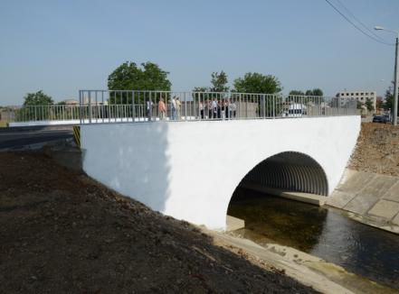 Podul peste Peţa de la Piaţa de vechituri a fost inaugurat (FOTO)